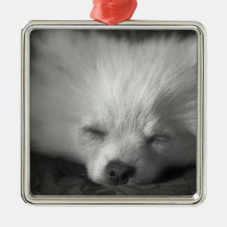 Dozing Pomeranian Metal Ornament