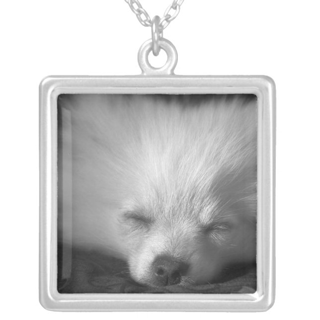 Dozing Pomeranian Silver Plated Necklace (Front)