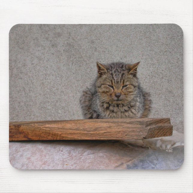 dozing tiger-cat mouse pad (Front)