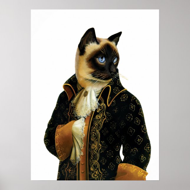 DR041 Siamese Cat poster (Front)