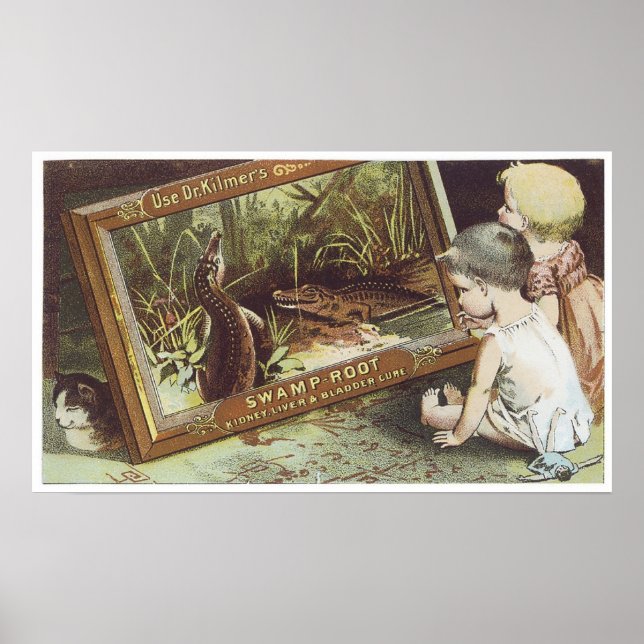 Dr. Kilmers Swamp Root Poster (Front)
