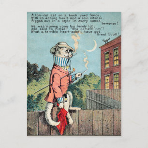 Dr Morse Cat Trade Card #1 (of 4)