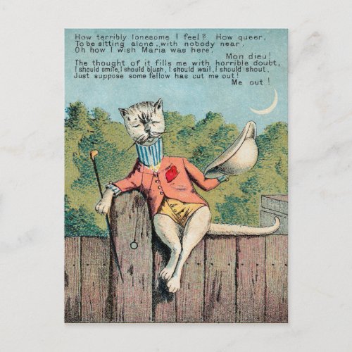 Dr Morse Cat Trade Card 2 of 4