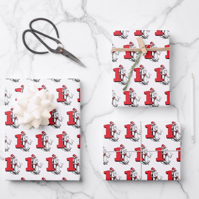 Dr. Seuss - Characters | Kids Birthday Wrapping Paper Sheets (Front)