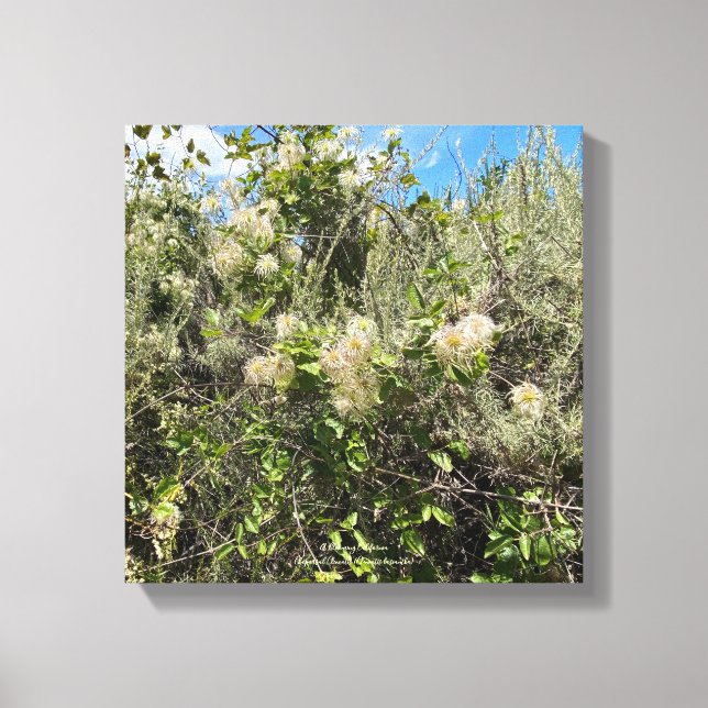 Dr. Seuss Flowers Canvas Print (Front)