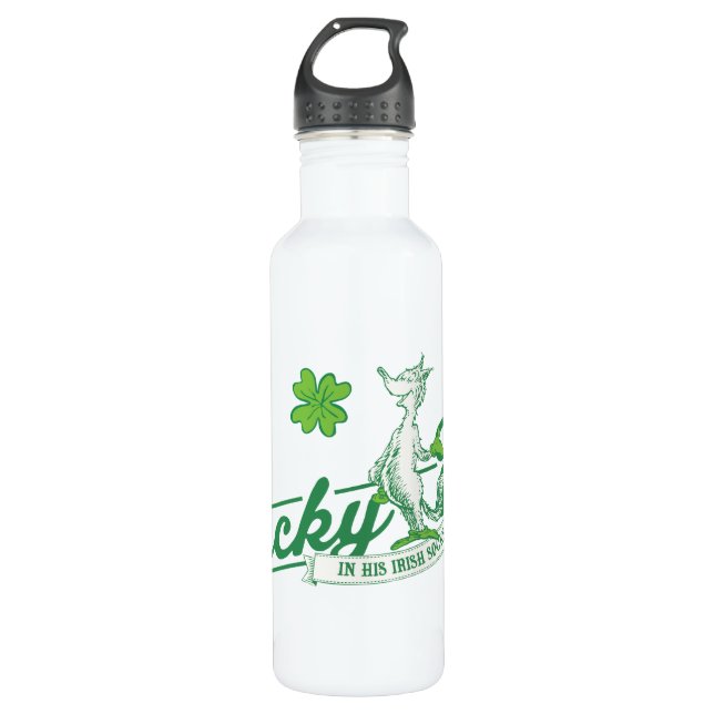 Dr. Seuss | Lucky Fox In His Irish Socks Stainless Steel Water Bottle (Front)