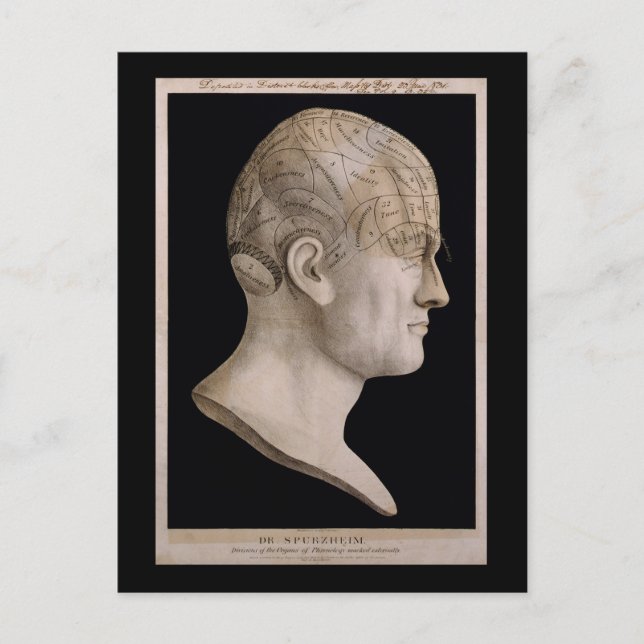 Dr. Spurzheim's phrenology chart Postcard (Front)