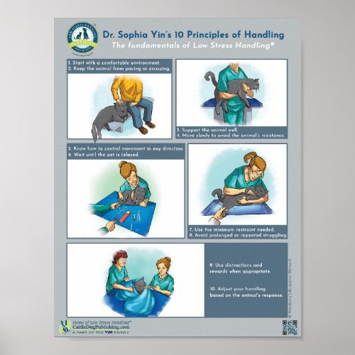 Dr Yins 10 Principles of Handling Cats Poster
