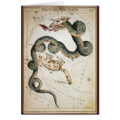 Draco and Ursa Minor (Front)