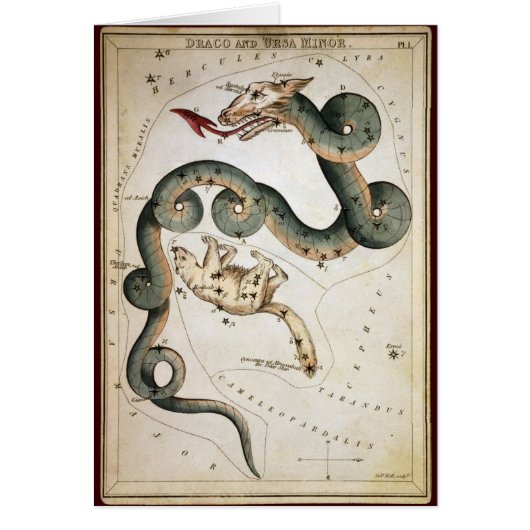 Draco and Ursa Minor Cards (Front)