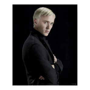 Draco Malfoy Arms Crossed Poster