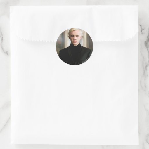 Draco Malfoy Straight On Classic Round Sticker Zazzle 7911