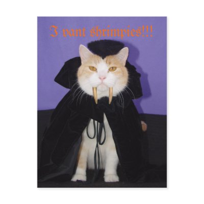dracula_bubba_postcard-p239748689494013242trdg_400.jpg