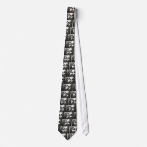 Draculas Castle Bran Transylvania Tie