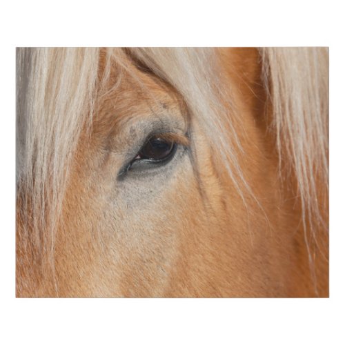 Draft Breed Horse Faux Canvas Print