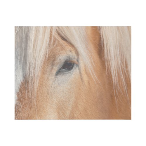 Draft Breed Horse Gallery Wrap