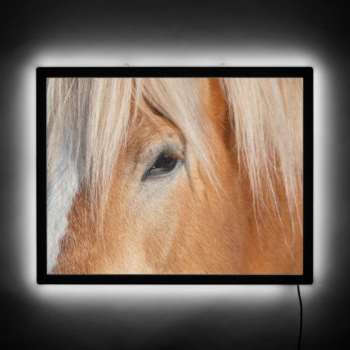 Draft Breed Horse LED Sign