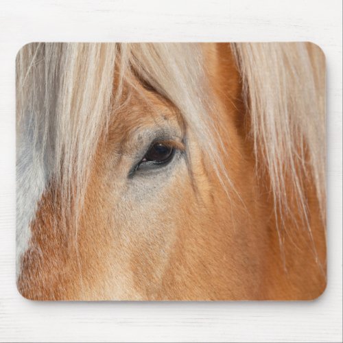 Draft Breed Horse Mouse Pad