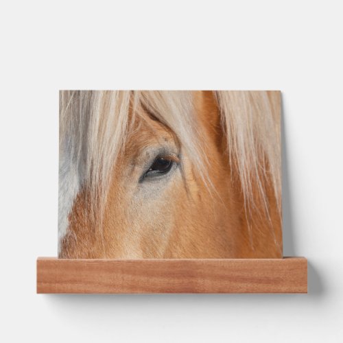 Draft Breed Horse Picture Ledge