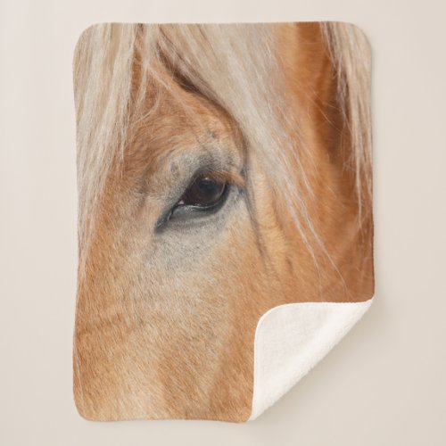 Draft Breed Horse Sherpa Blanket