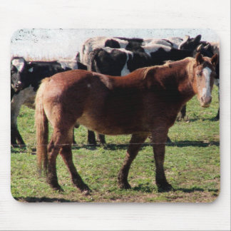 Draft Horse and Dairy Cattle Mouse Pad