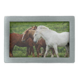 Draft Horse Buckle Belt Buckle