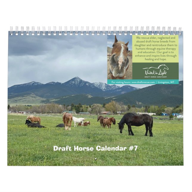 Draft Horse Calendar  (Cover)