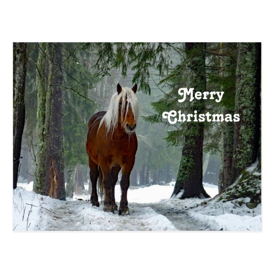 Draft Horse Christmas Postcard