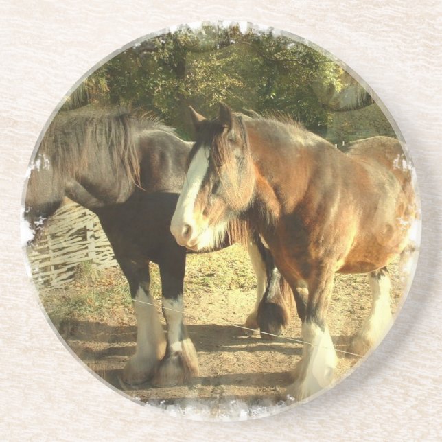 Draft Horse Coasters (Front)