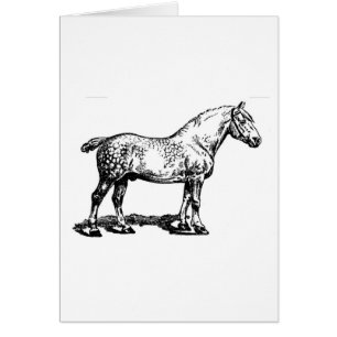 Draft Horse -- Dappled Cards
