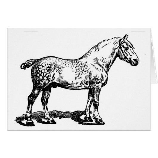 Draft Horse -- Dappled Cards (Front Horizontal)