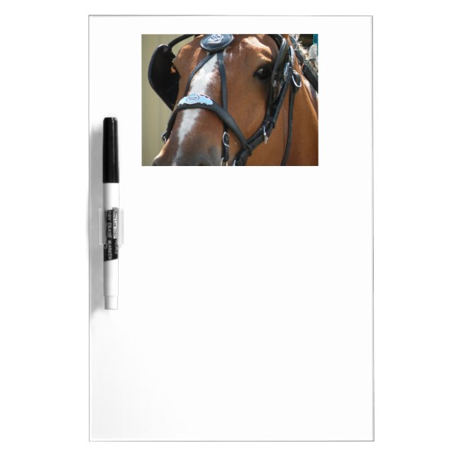 Draft Horse Dry Erase board (Front)