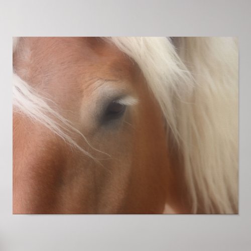 Draft Horse Eye Wisdom Poster