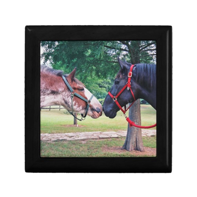 Draft Horse Gift Box (Front)