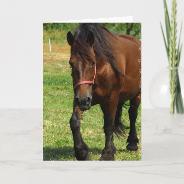 Draft Horse Greeting Card (Front)