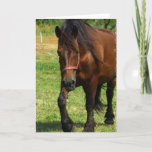 Draft Horse Greeting Card