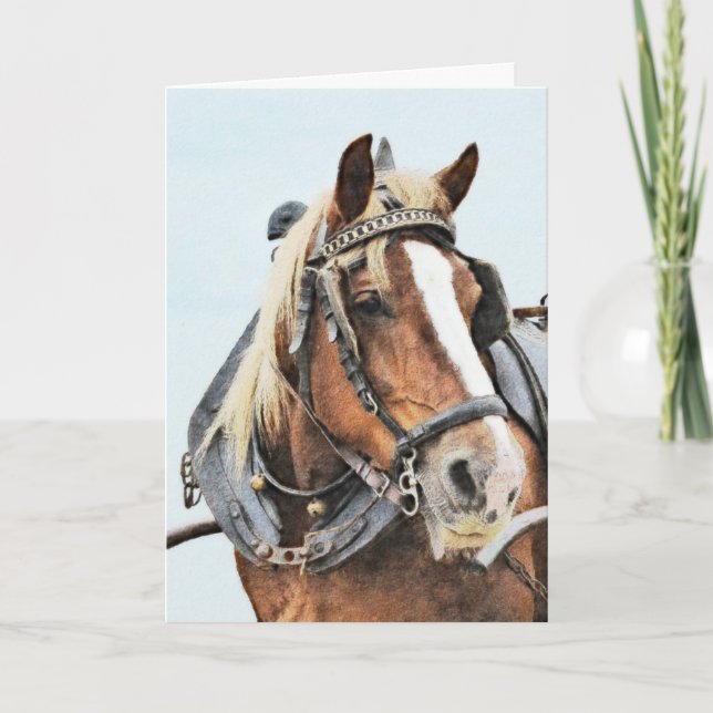 Draft horse in harness birthday card (Front)