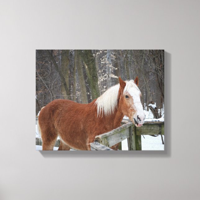 Draft Horse in the Snow Canvas Print (Front)