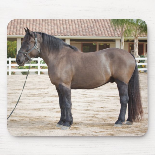 Draft Horse Mouse Pad (Front)