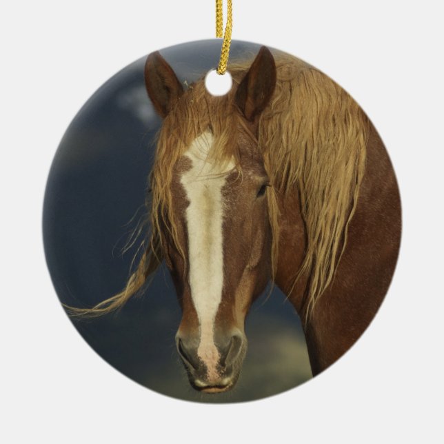 Draft Horse Ornament (Front)