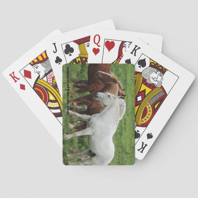 Draft horse playing cards (Back)