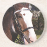 Draft Horse Rescue Coasters