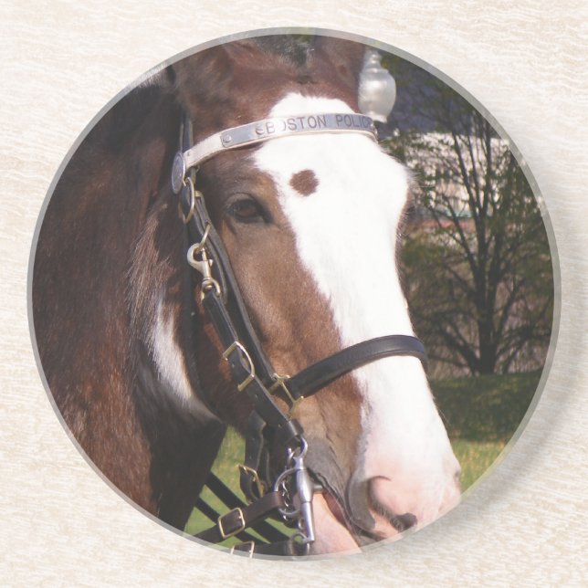 Draft Horse Rescue Coasters (Front)