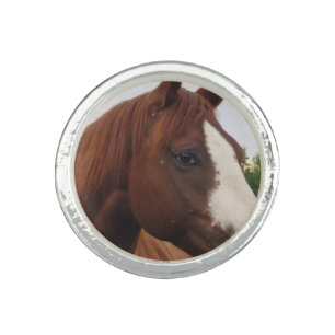 Draft Horse Ring