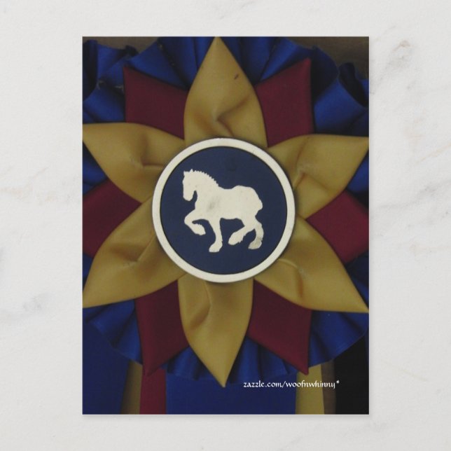 Draft Horse Rosette Postcard (Front)