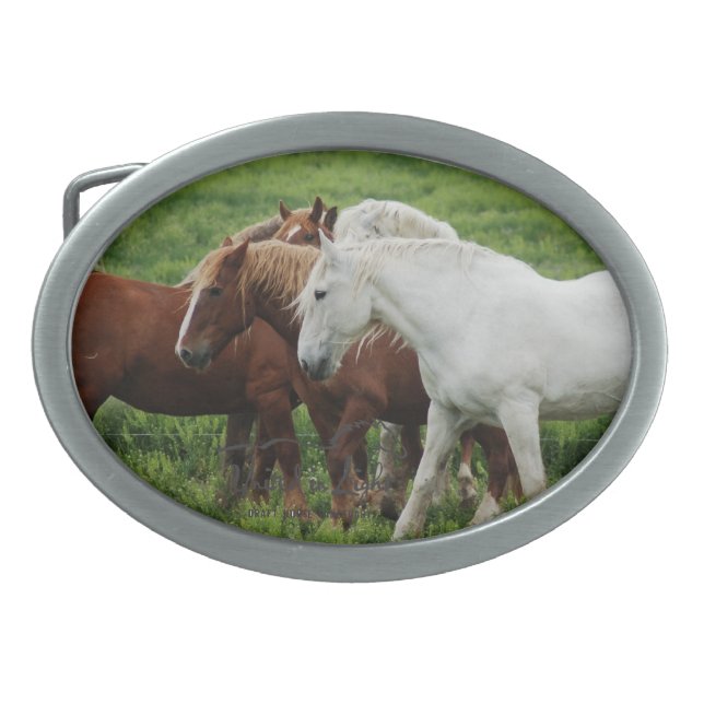 Draft Horse Round Buckle Oval Belt Buckle (Front)