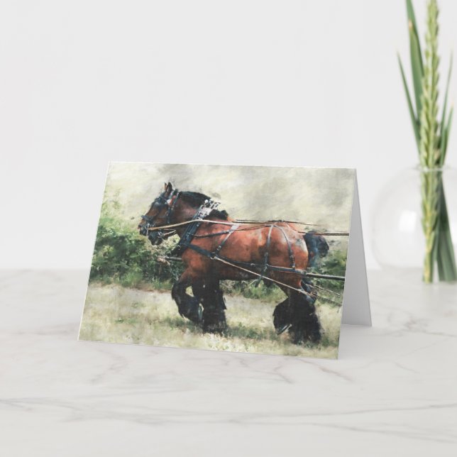 Draft horse team birthday card (Front)