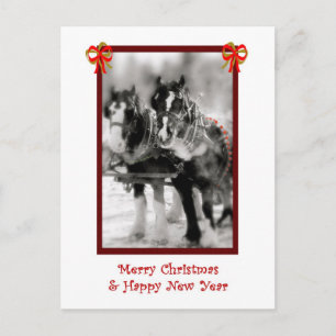 Draft Horse Team, Merry Christmas, HNY Postcard