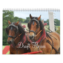 Draft Horses 2016