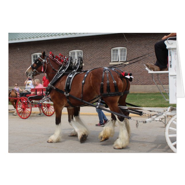 Draft Horses at a State Fair Cards (Front Horizontal)